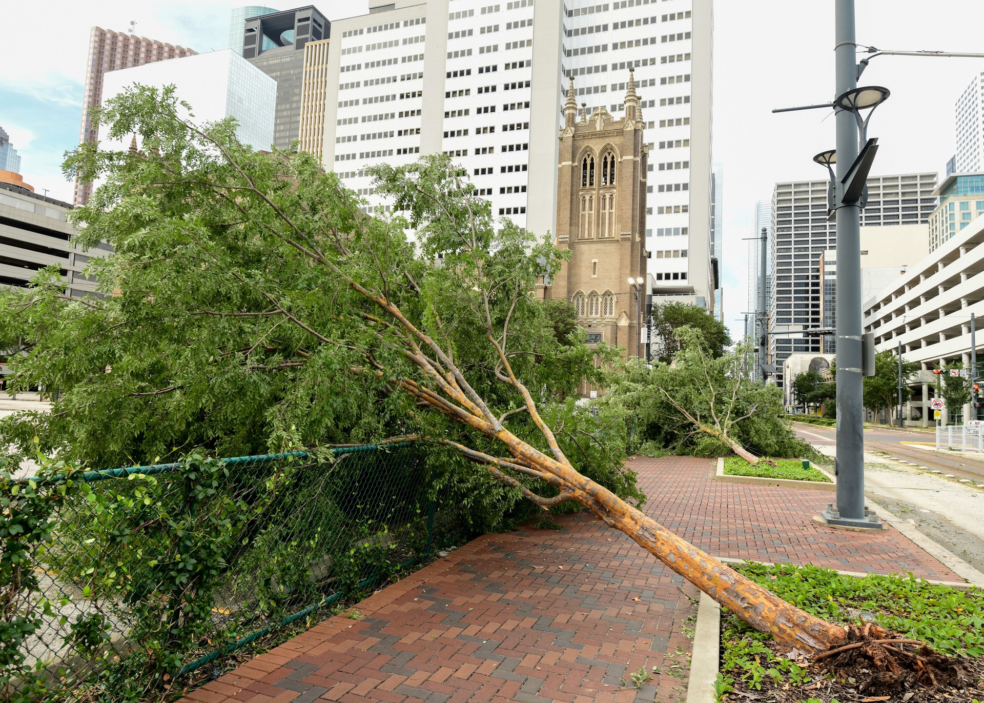 Hurricane Beryl damage in downtown Houston